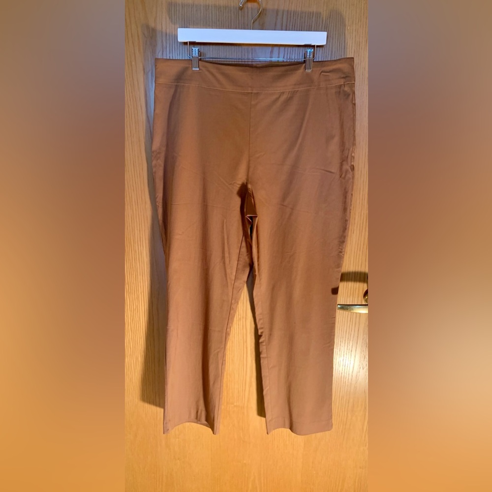NWT Eric Casual Pull-On Pants- Chestnut- Size 2X